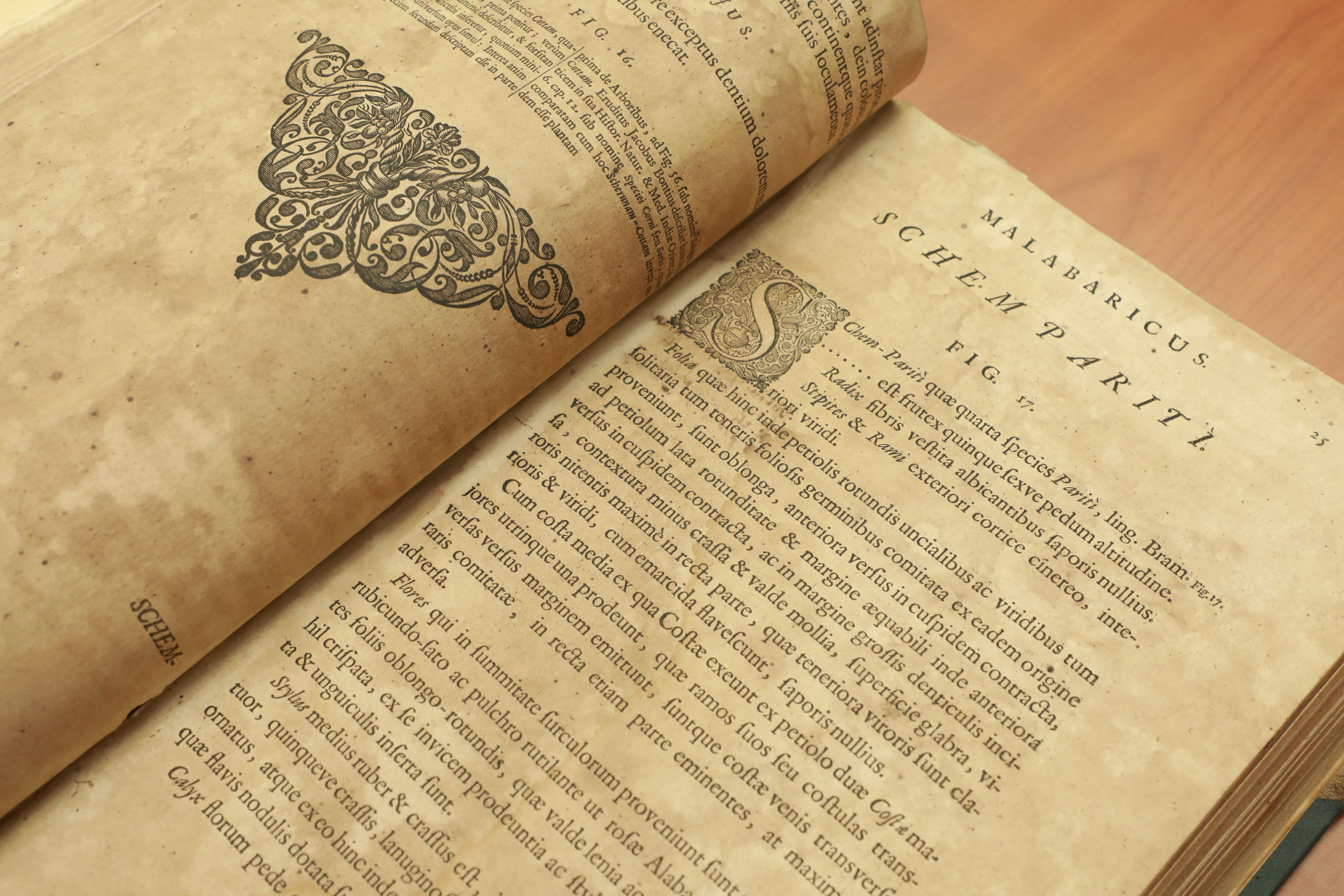 Hortus Malabaricus